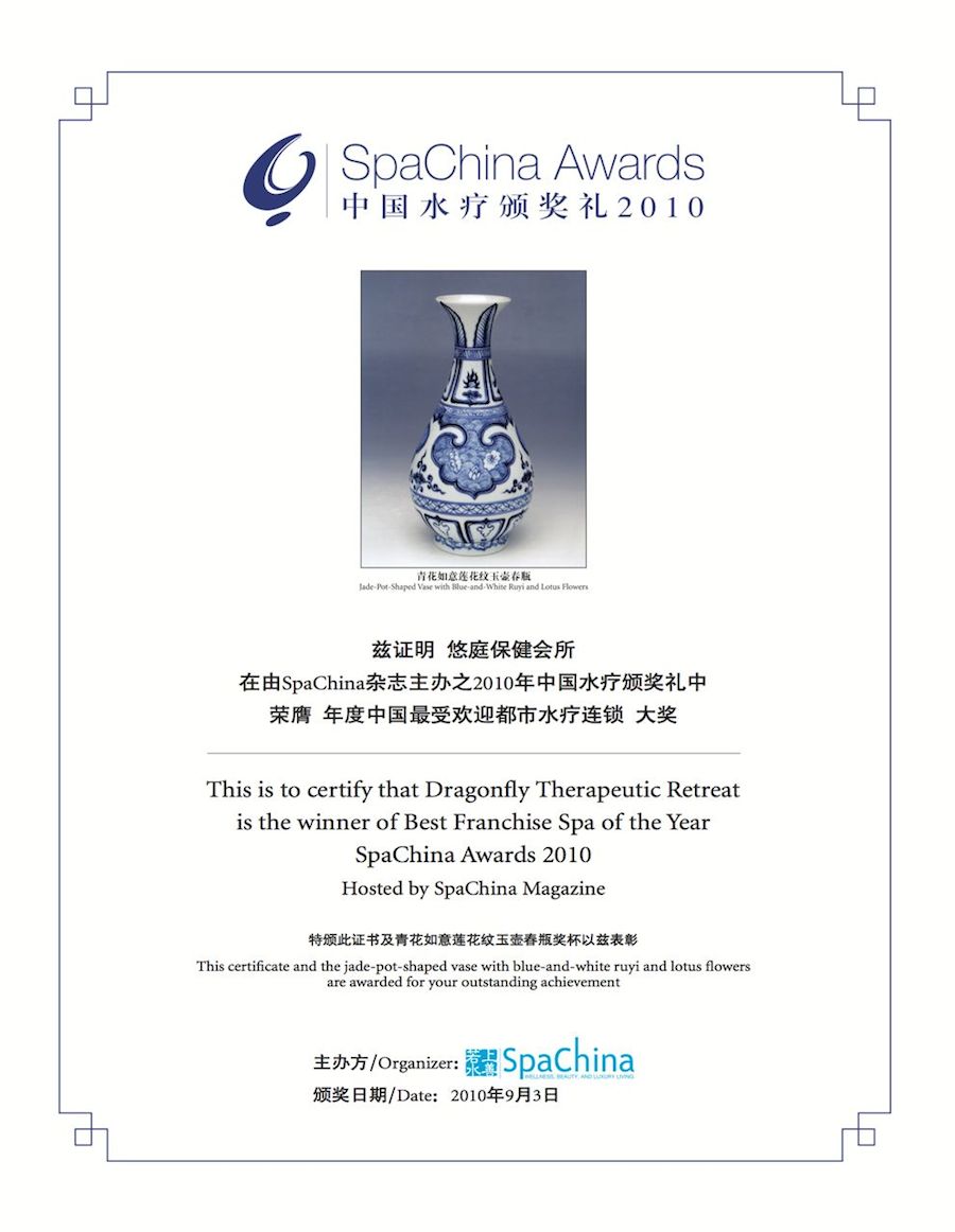 Best Franchise Spa 2010